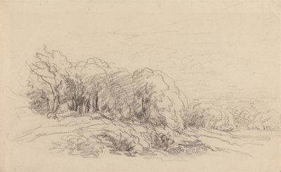 Landschap met Bomen door David Cox
